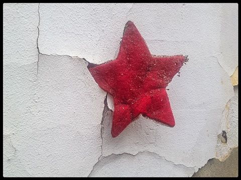 Fotografija: Nikola Šolić