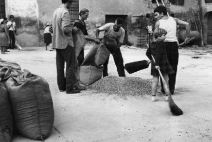 Bilježnica Robija K.: Bašme Briga protiv Jebe&nbsp;Mese