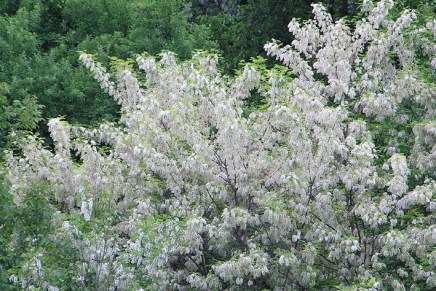 Andrijana Kos Lajtman:&nbsp;ČESTICE