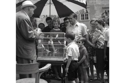 Stabilizirana Hrvatska: Crne torbe, poduzetnički raj i drugo poluvrijeme&nbsp;pretvorbe