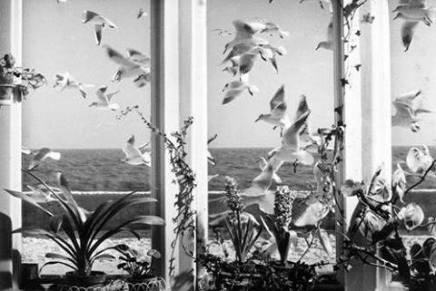 Tin Ujević: Pogledi u&nbsp;praskozorju