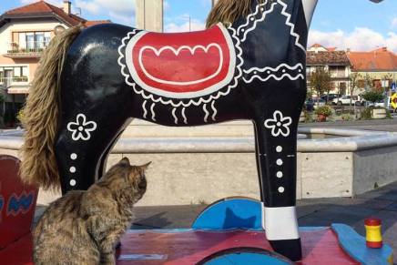 HRVATSKA DRŽAVA KAO&nbsp;KARGO-KULT