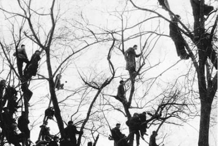 Psihijatrija Hrvatska