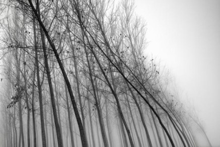 Božica Jelušić: TRAKTAT O&nbsp;VJETRU