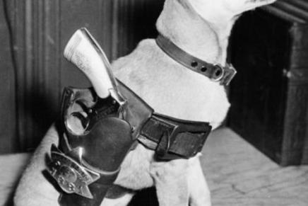 Psihijatrija, suicid i život u permanentnom ratnom&nbsp;stanju