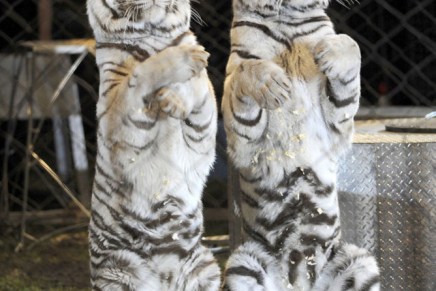 Što očekivati od ekonomske&nbsp;2018.?