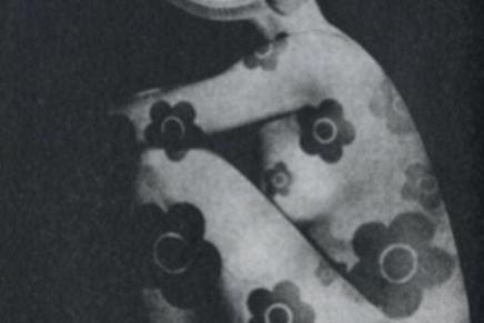 Kreacionistička pornografija