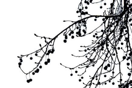 Branko Miljković: Kraj&nbsp;Putovanja