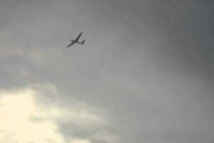 Predrag Finci: Jedrilica