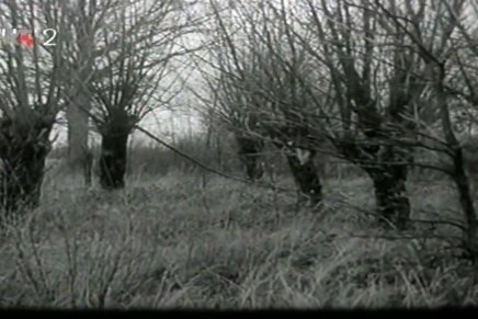 Kruno Čudina: VIZIJE O ZAN, 4. VIZIJA O ZAN (park ozbiljne igre), I.&nbsp;dio