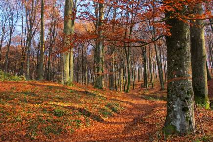 Kruno Čudina: VIZIJE O ZAN, 4. VIZIJA O ZAN (park ozbiljne igre) II.&nbsp;dio