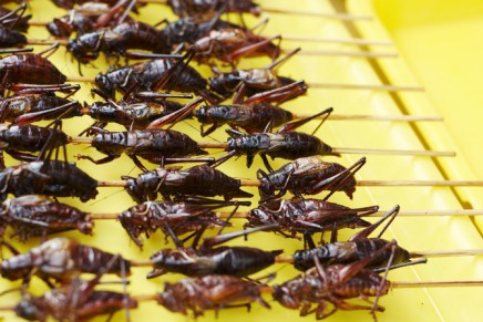 Dejan Đorđević: POHOD&nbsp;BUBA