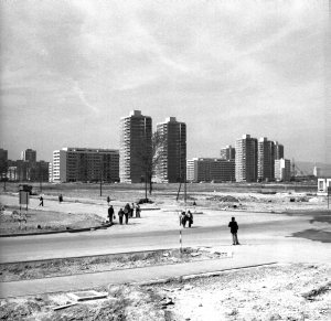 Jelena Osvaldić: Moja&nbsp;Borba