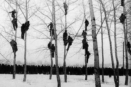 Hoće li glupost barem na tren&nbsp;ustuknuti?