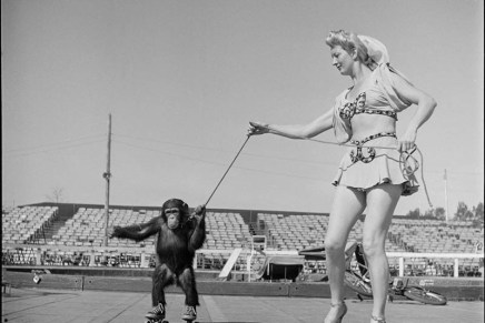 Plenković, gigakriza i početak&nbsp;kraja