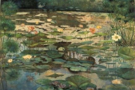 Vesna Parun: IVANJA&nbsp;RIJEKA