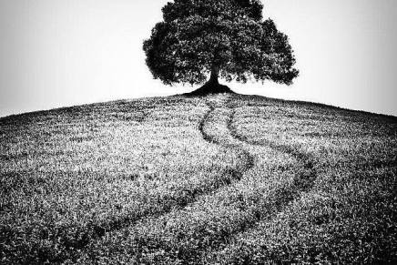 Andrijana Kos Lajtman: BRIJEG NIJE&nbsp;BRDO