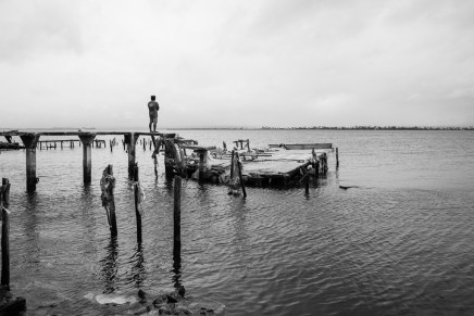 Zoran Pešić Sigma: RIBARSKI&nbsp;ČVOR