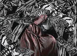 Velimir Visković: Zašto medvedu raste&nbsp;vučko?