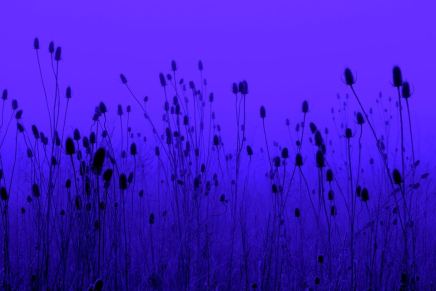 Keynesova paradigma: Na duže vrijeme svi smo&nbsp;mrtvi