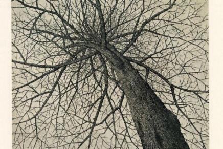 BERTOLT BRECHT: O PENJANJU PO&nbsp;DRVEĆU