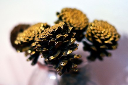 Domagoj Margetć: Oprosti 