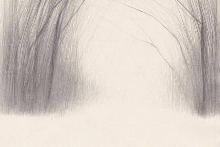 Darija Žilić: Čistilište