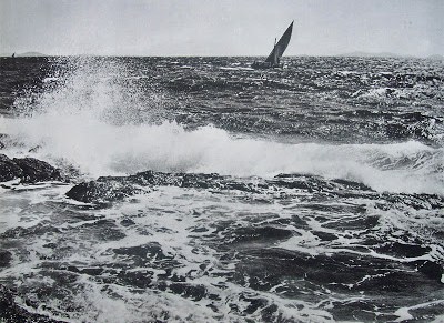 Darija Žilić: Odluke