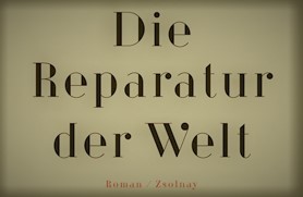Roman “Doba mjedi” Slobodana Šnajdera na njemačkom