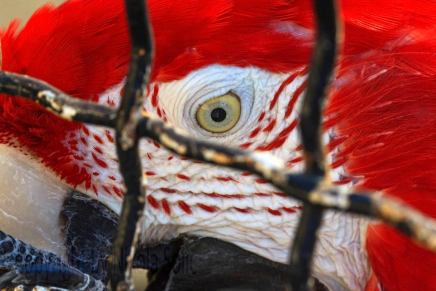 Slađana Bukovac: Cijena&nbsp;zastupnika