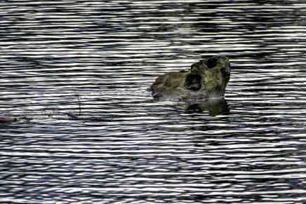 Božica Jelušić: ČIŠĆENJE AURE PRIJE POSLJEDNJEGA&nbsp;STUPNJA