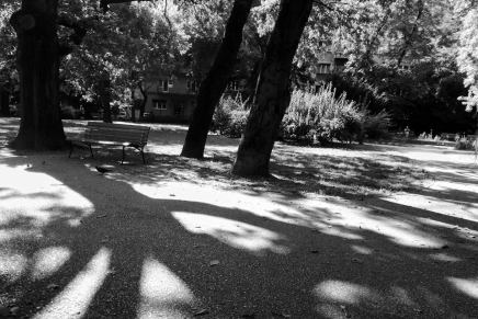 Dragan Aleksić: IZMEĐU NERE I&nbsp;KARAŠA