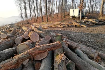 Planinari u šoku: Pred očima nam nestaju šume, ostaju samo puste&nbsp;gore