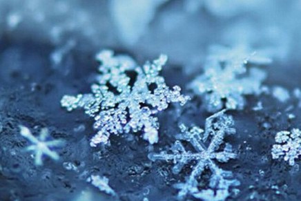 Mladen Blažević: MRAZ