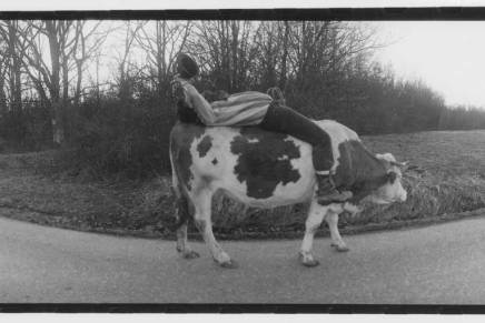 LASLO VEGEL: OČE, JA NISAM HTEO TAKVU&nbsp;SLOBODU