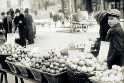 Dragan Aleksić: TARZAN