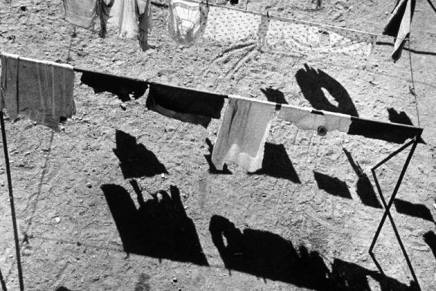 Žarko Jovanovski: O ZELENIM KVAČICAMA ZA SUŠENJE RUBLJA I SMRDLJIVIM ČARAPAMA JORDANA&nbsp;PETERSONA