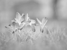 Darija Žilić: Jer još je rano&nbsp;proljeće