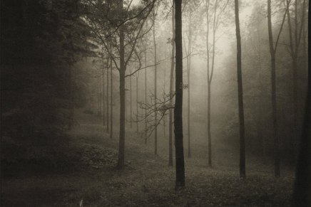 Božica Jelušić:OKIŠENA, RAZLJUBLJENA