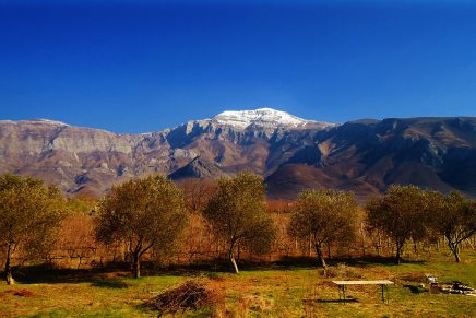 Zdravo svim Zemljanima – OTVORENI&nbsp;POZIV