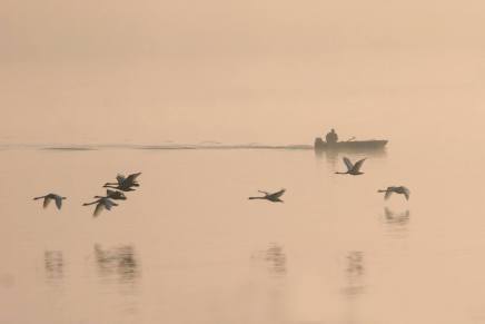 Miroslav Mika Antić: Reka bi mogla da&nbsp;bude