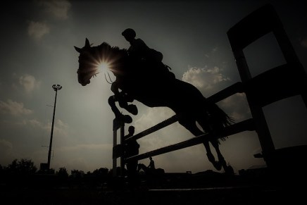 Pero Kvesić: HIPODROM S&nbsp;PREPREKAMA