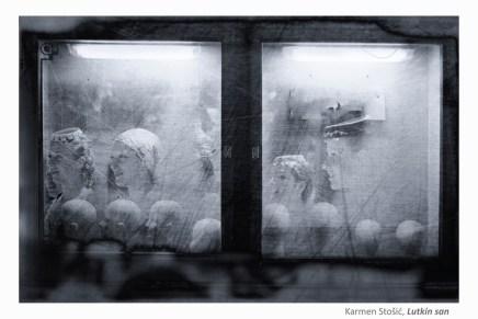 Darija Žilić: Svjetlost&nbsp;kolovoza