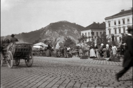 Dragan Aleksić: BANATSKI&nbsp;RIZLING