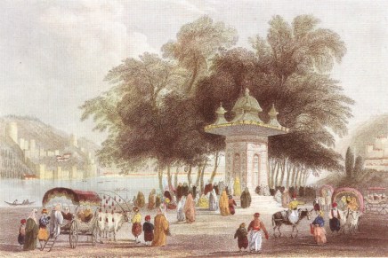 Darija Žilić: Turska ili Leptirov&nbsp;san