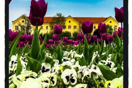 Marija Lamot: Gimnazija – priprema za sveučilište&nbsp;(Izlaganje)