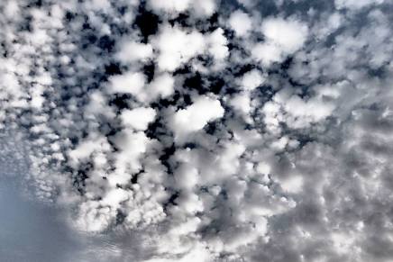 Biserka Drbohlav: KOJI ŽIVE U&nbsp;OBLACIMA