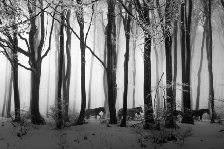 Mladen Blažević: Lovce se sluša dok&nbsp;govore