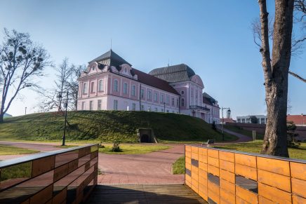 Božica Jelušić: JUVENILIJA