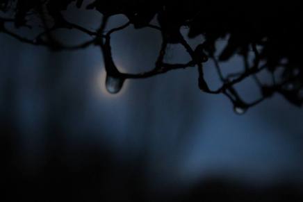 Sanja Šantak: Zaustavljeni&nbsp;um